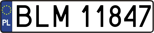 BLM11847