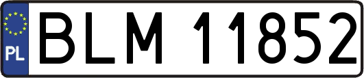BLM11852