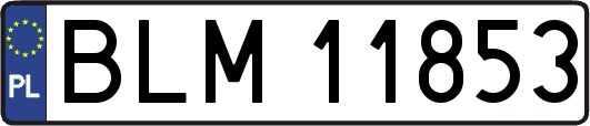 BLM11853
