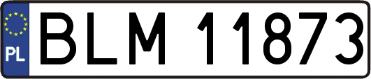BLM11873