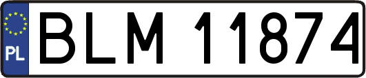 BLM11874