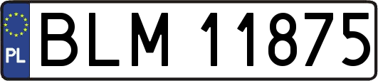 BLM11875