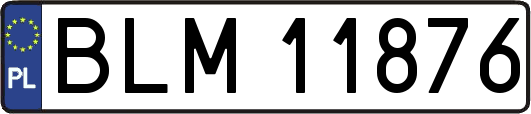 BLM11876