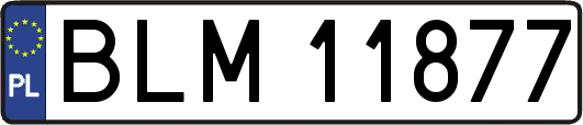 BLM11877