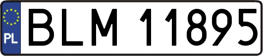 BLM11895