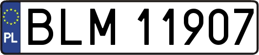 BLM11907