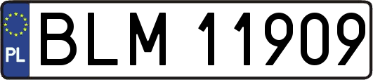 BLM11909