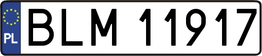 BLM11917
