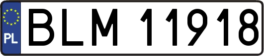 BLM11918