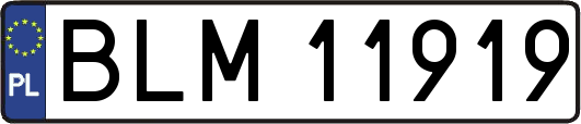 BLM11919