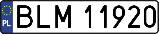 BLM11920
