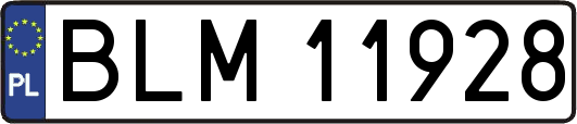 BLM11928