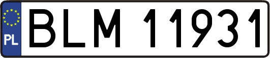 BLM11931