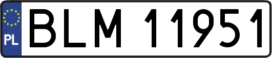 BLM11951