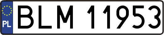 BLM11953