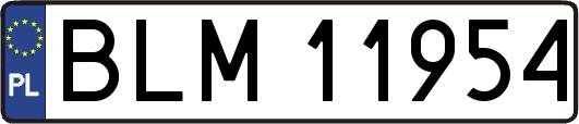 BLM11954