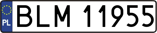 BLM11955