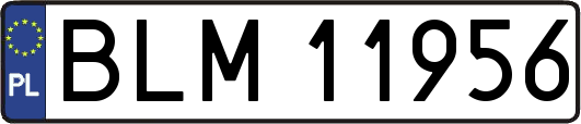 BLM11956