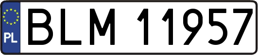 BLM11957