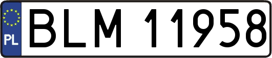BLM11958
