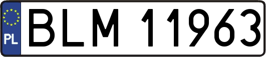 BLM11963