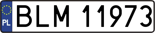 BLM11973