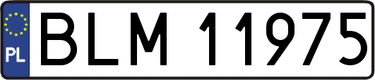 BLM11975