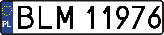 BLM11976