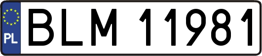 BLM11981