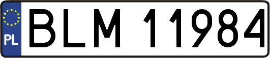 BLM11984