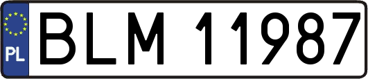 BLM11987