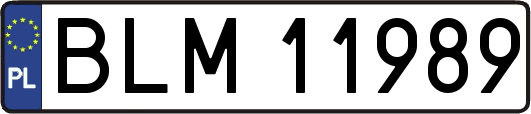 BLM11989