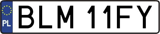 BLM11FY