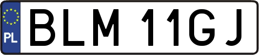 BLM11GJ