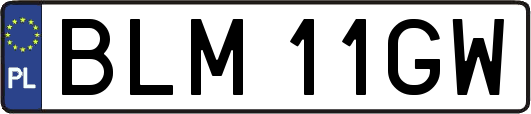 BLM11GW