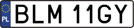BLM11GY