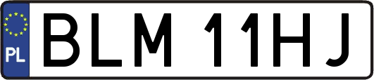BLM11HJ