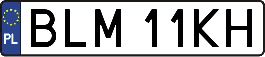 BLM11KH