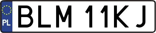 BLM11KJ