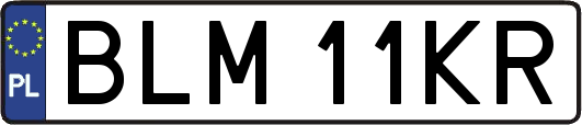 BLM11KR