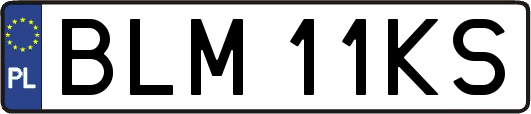 BLM11KS