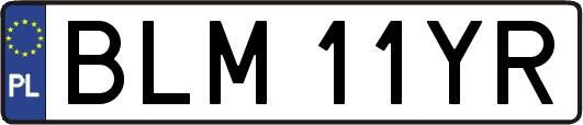 BLM11YR