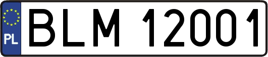 BLM12001