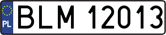 BLM12013