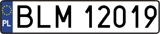 BLM12019
