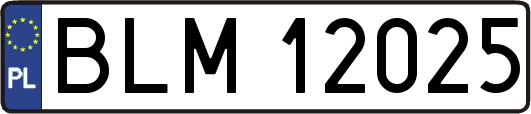BLM12025