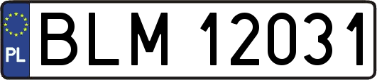 BLM12031