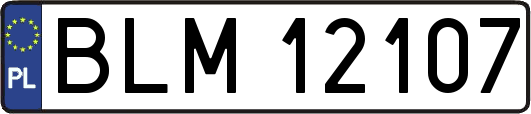 BLM12107