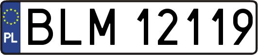 BLM12119