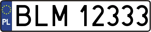 BLM12333